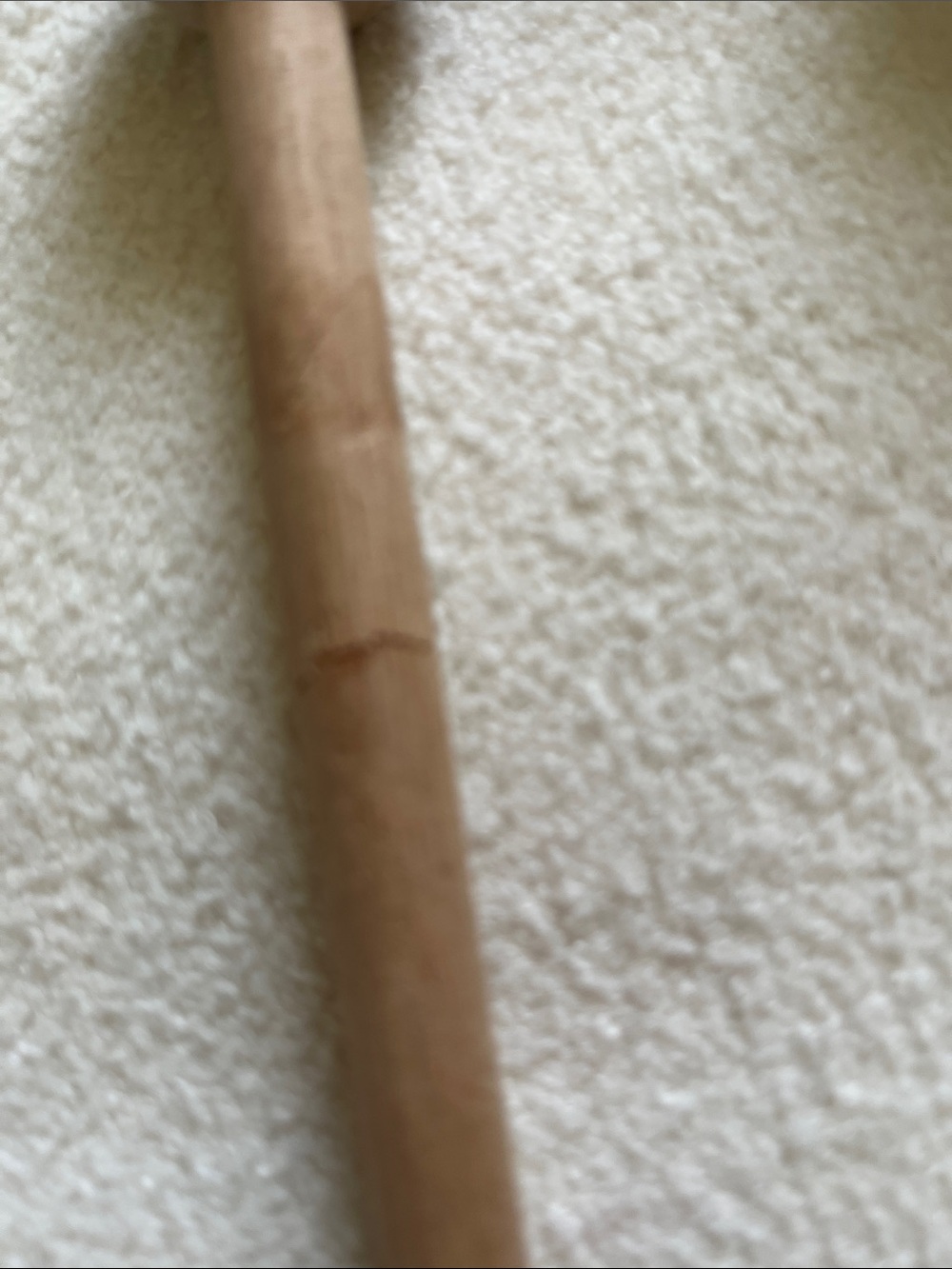 Frame Drum with Lizard Motif, seed pod shaker shaker, rhythm stick - Picture 6 of 9